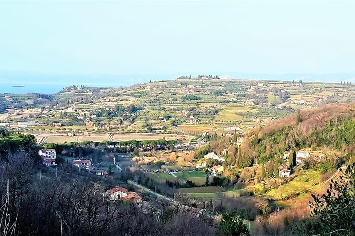 Coastal Footpath Above Lucija: Olive Groves, Salt Pans & Istrian Breakfast