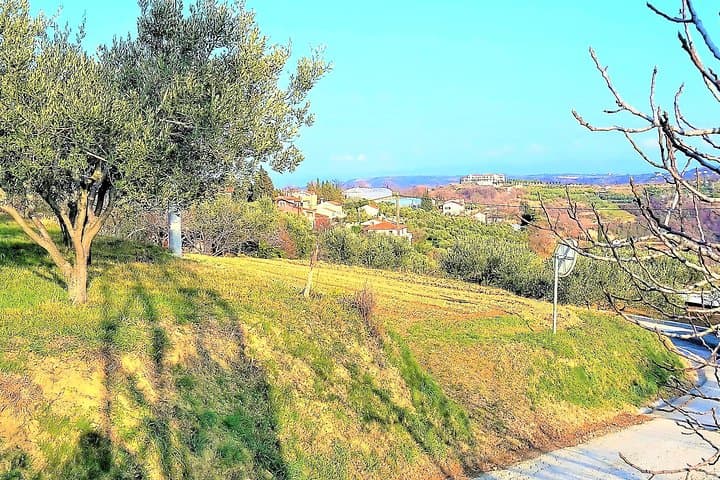 Coastal Footpath Above Lucija: Olive Groves, Salt Pans & Istrian Breakfast photo 3