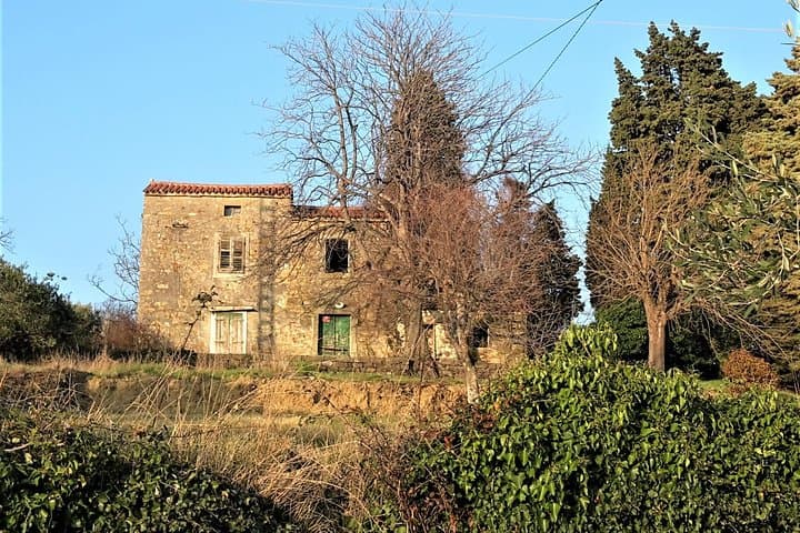 Coastal Footpath Above Lucija: Olive Groves, Salt Pans & Istrian Breakfast photo 4