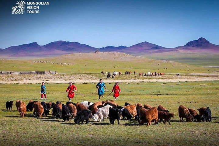 3-Day Semi Gobi: Terelj, Khugnu Khaan & Chinggis Khaan Statue photo 5