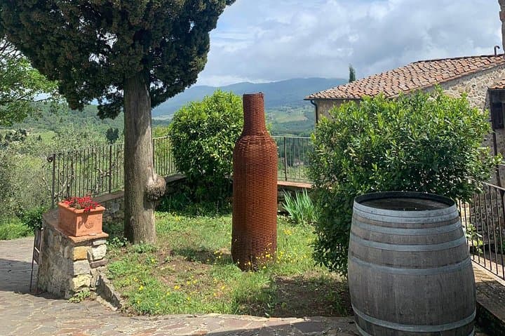 Chianti Vineyards Private Tour: Full-Day Luxury Van Wine Tasting from Florence photo 6