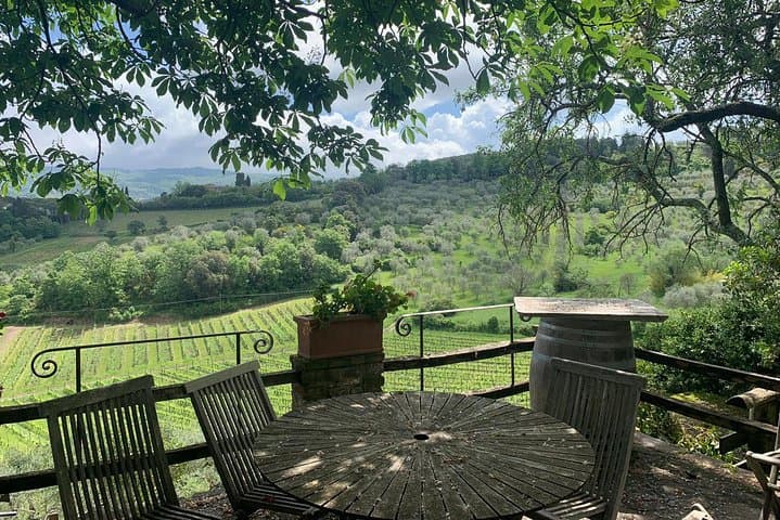 Chianti Vineyards Private Tour: Full-Day Luxury Van Wine Tasting from Florence photo 4