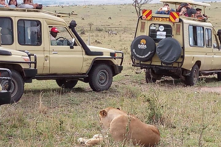 12-Day Kenya and Tanzania Budget Safari from Nairobi | Big Five & Great Migration photo 6