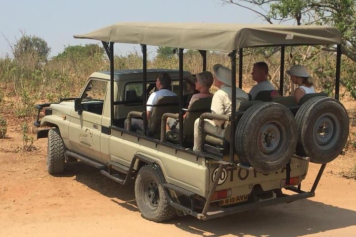 Three-Hour Chobe Game Drive — Kasane Safari for Elephants, Hippos & Lions photo 5