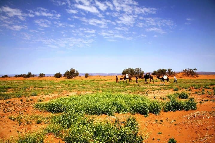 Private 3-Day Agadir to Erg Chigaga: Camel Treks & Night in the Dunes photo 3