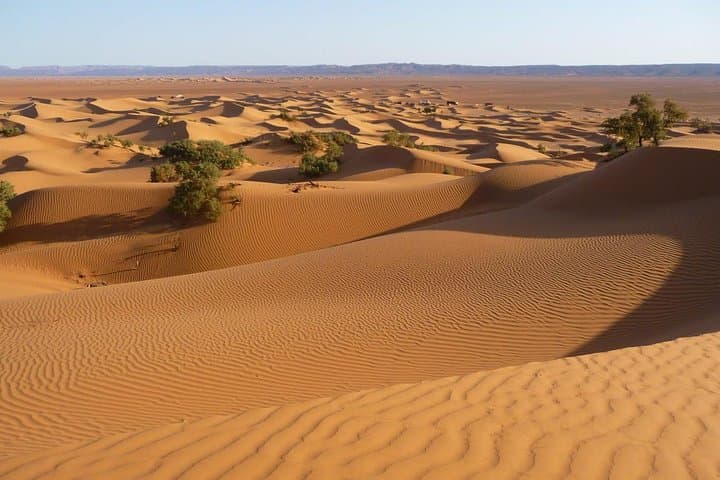 Private 3-Day Agadir to Erg Chigaga: Camel Treks & Night in the Dunes photo 4