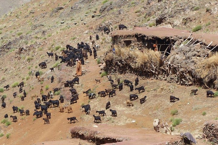 Jebel Toubkal 8-Day Trek: Summit Morocco’s High Atlas from Imlil to Marrakech photo 4