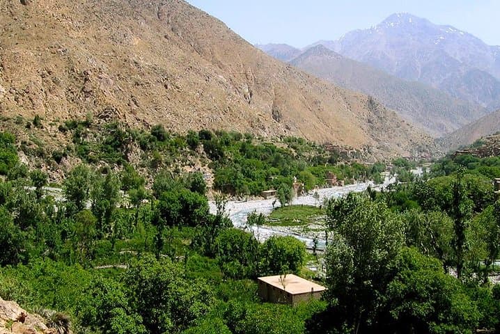 Ourika Valley & Lake Takerkoust: Private High Atlas Day Trip from Marrakech photo 4