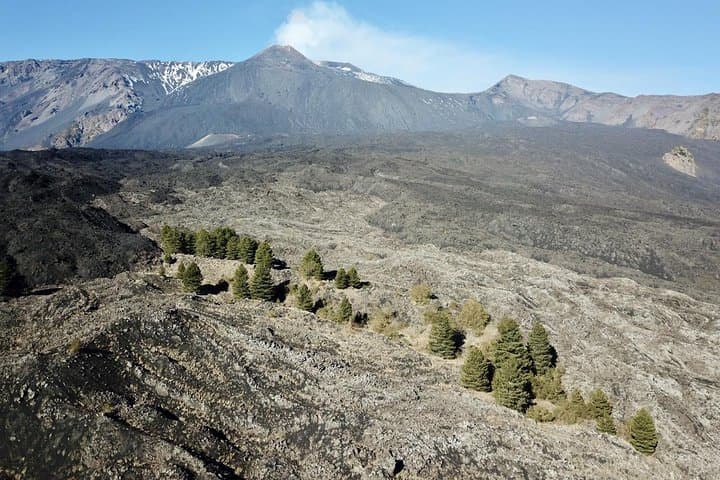 Etna 4x4 & Wine Farm Experience: Lava Trails to Cellar Tastings photo 4