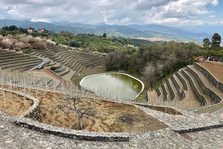 Etna 4x4 & Wine Farm Experience: Lava Trails to Cellar Tastings