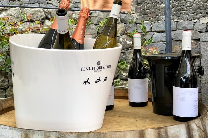 Etna 4x4 & Wine Farm Experience: Lava Trails to Cellar Tastings photo 5