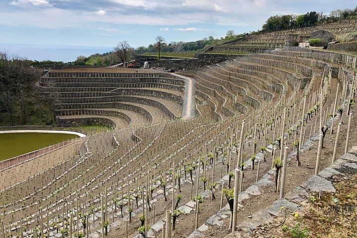 Etna 4x4 & Wine Farm Experience: Lava Trails to Cellar Tastings photo 6