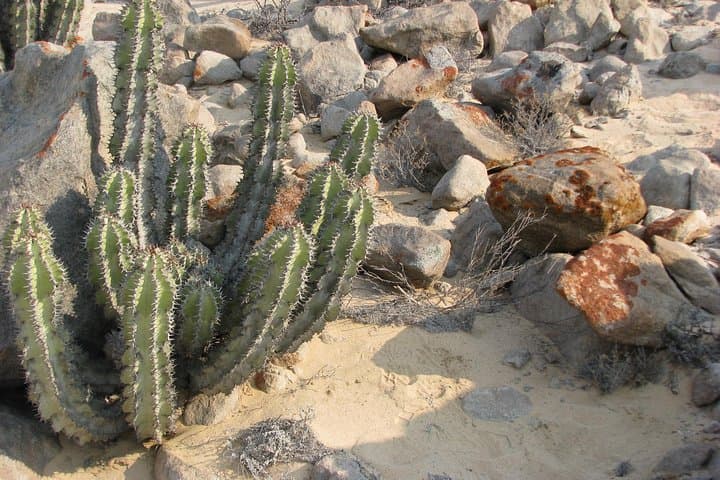 Rossing Mountain Mineral Tour from Swakopmund — Geology, Quartz & Desert Flora photo 3
