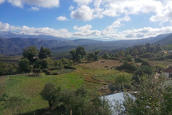 Day Trip to the Middle Atlas: Azrou Cedars & Barbary Apes from Fes photo 2