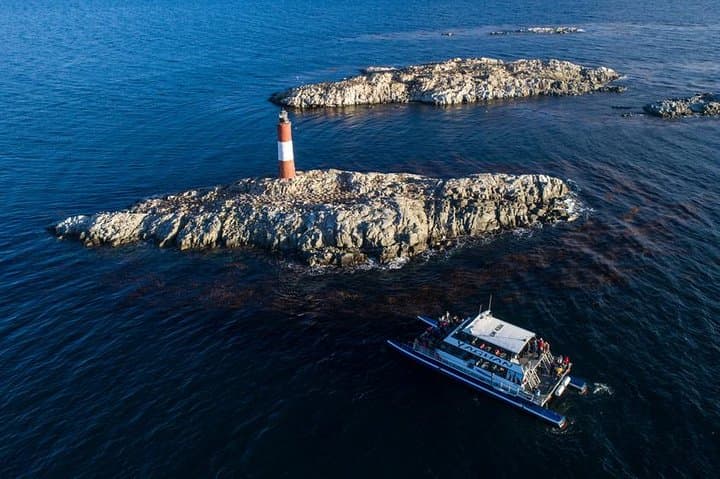 Sailing the Beagle Channel: Les Eclaireurs Lighthouse, Isla de los Lobos & Bridges Islands Hike photo 6