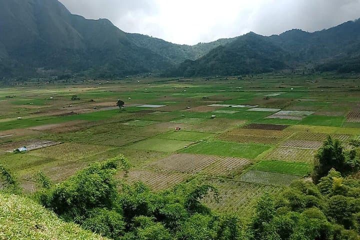 Sembalun Tour: Rinjani's High-Valley Villages and Strawberry Farms photo 5