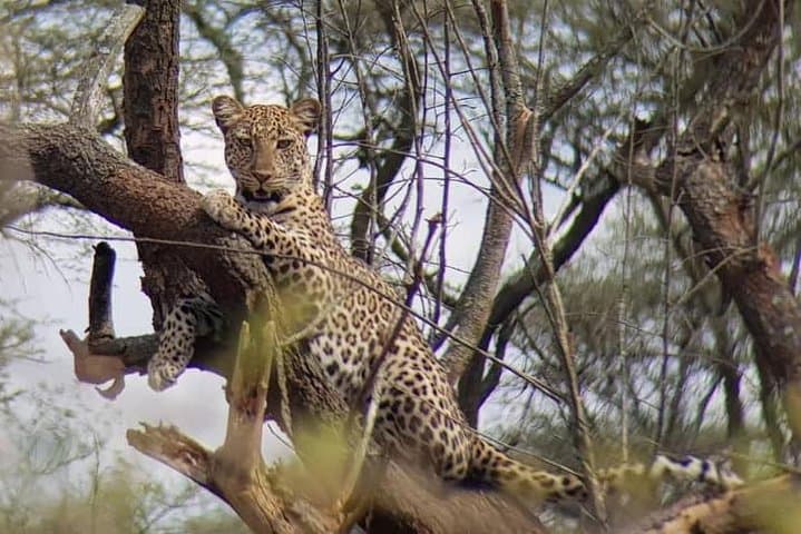 One-Day Akagera Game Drive: Private Wildlife Safari from Kigali photo 3