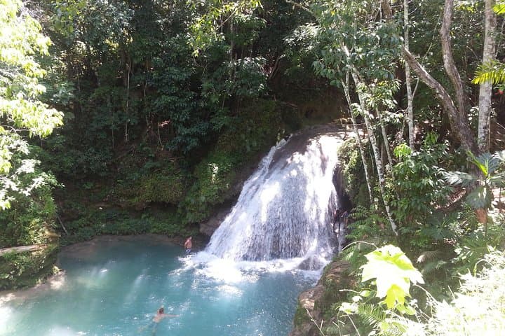 Blue Hole & Dunn's River Falls Day Trip from Falmouth, Jamaica photo 3