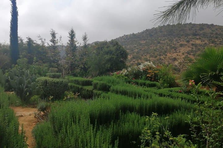 Half-Day Paradise Valley Tour from Agadir or Taghazout photo 5