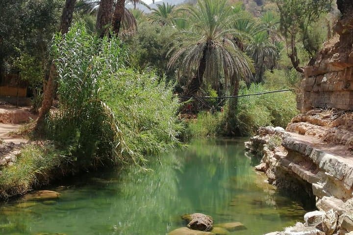 Half-Day Paradise Valley Tour from Agadir or Taghazout