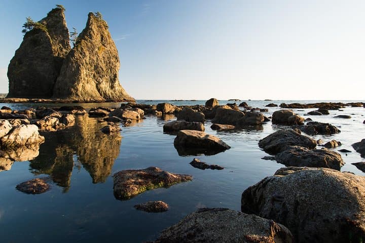 Silent Forest & Coast: 3-Day Olympic National Park Tour from Seattle photo 2