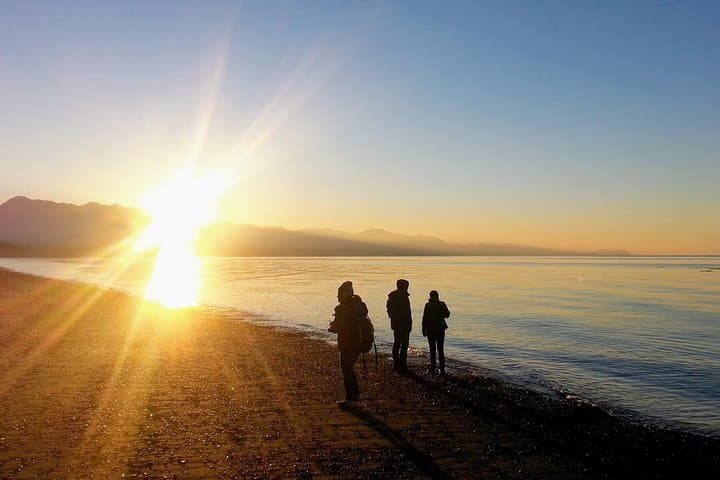 Silent Forest & Coast: 3-Day Olympic National Park Tour from Seattle