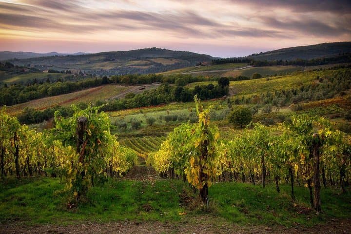 Full-Day Touring Bike Rental in Tuscany — Ride the Countryside from Florence photo 3