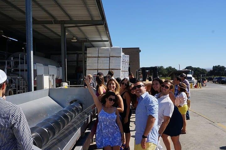 Private 7‑Hour Santa Barbara Wine Tour: Custom Tastings in Santa Ynez Valley photo 3