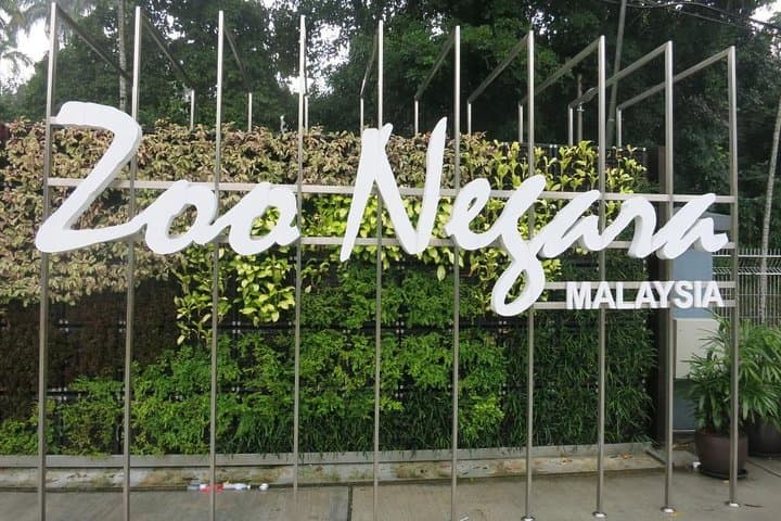 Zoo Negara Kuala Lumpur: National Zoo with Giant Pandas — What to Expect