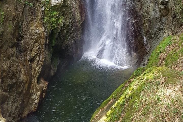 Coastal Drive and Waterfall Trek: 2-Hour Rainforest Hike in Tobago