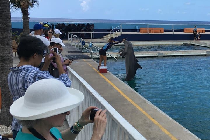 West Bay Sightseeing Tour Plus Seven Mile Beach Visit — Grand Cayman Highlights photo 3