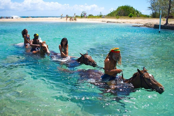 Irie Blue Hole & Horseback Adventure from Runaway Bay — Secret Falls and Seville Trails photo 6