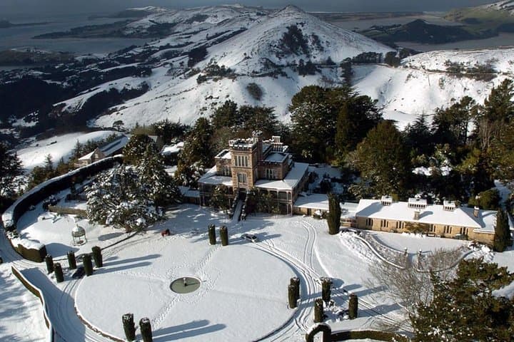 Larnach Castle & Gardens Tour from Dunedin — Otago Peninsula Day Trip