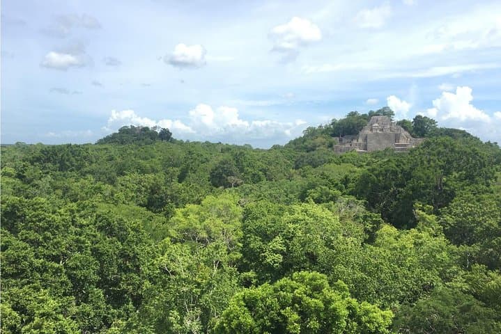 Calakmul Biosphere Day Trip: Jungle Wildlife, Mayan Pyramids & Community Guides
