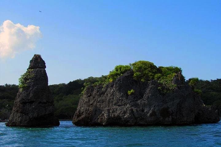 Roatán Boat Trip to St. Helene Village with Snorkeling and Mangrove Cruise photo 5