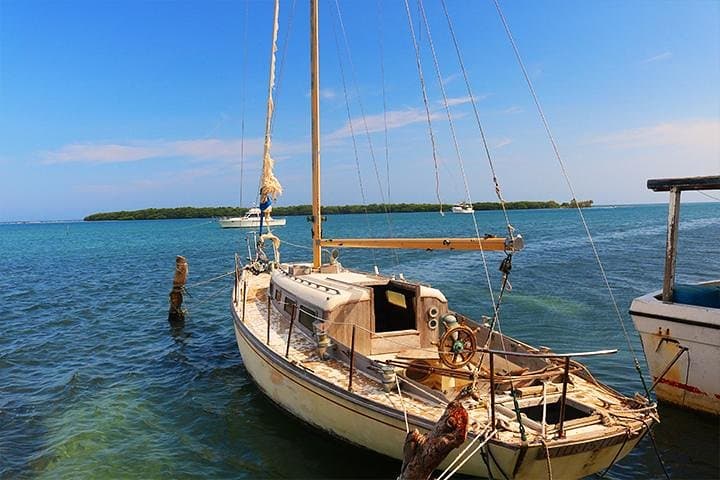 Roatán Boat Trip to St. Helene Village with Snorkeling and Mangrove Cruise photo 4