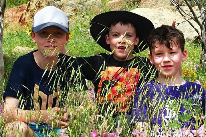 Perth Kids Explorer: Private Family Day Tours Around the Swan River & Hills photo 3