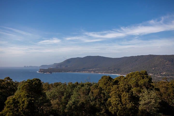 Port Arthur & Tasman Peninsula Day Tour — Devils, Cliffs & Convict History from Hobart photo 3