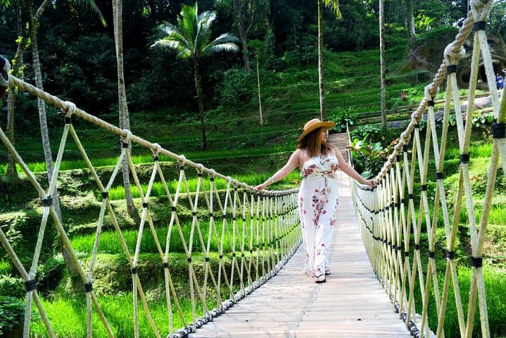 Ubud Monkey Forest & Highlights: Rice Terraces, Waterfall and Balinese Art in a Day photo 6