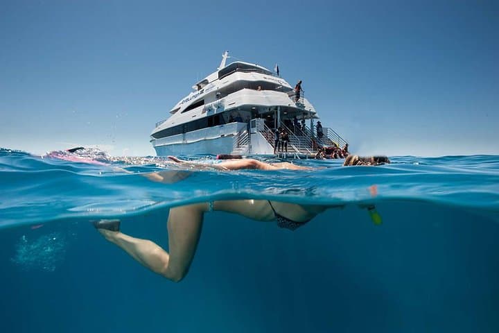 Cairns Super Saver: Great Barrier Reef, Daintree & Kuranda Rail and Skyrail photo 3
