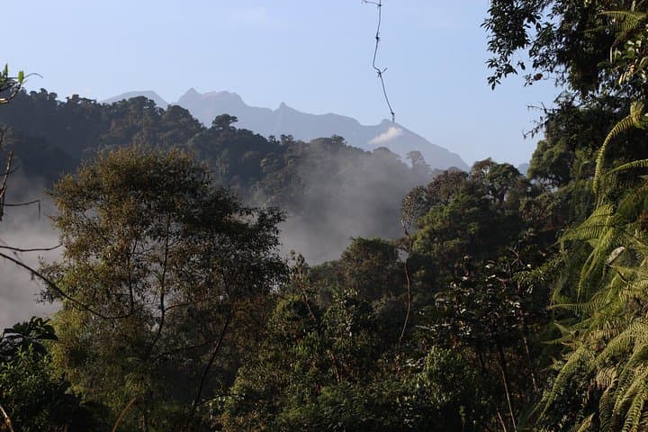 Mindo Cloud Forest Full-Day Tour: Butterflies, Waterfalls & Chocolate from Quito photo 2