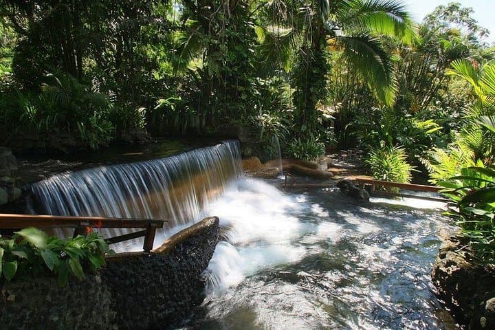 10-Day Costa Rica Pure Nature: Corcovado, Caño Island, Arenal & Monteverde photo 4