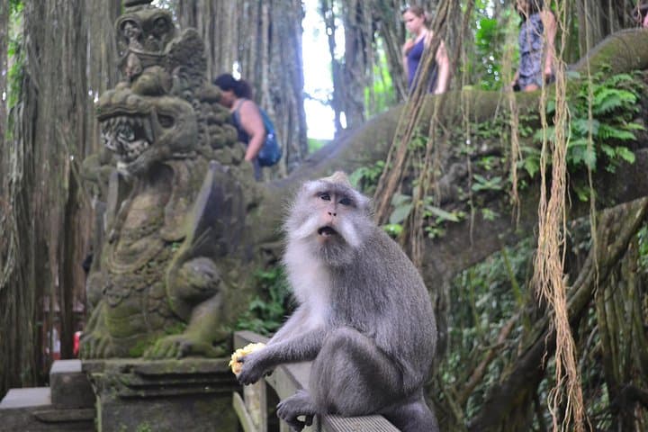 Ubud Full-Day Private Tour: Monkey Forest, Tegalalang & Tegenungan Waterfall photo 2