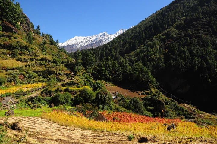 Tsum Valley 18-Day Homestay & Camping Trek: Remote Tibetan Culture and High-Valley Trails photo 5