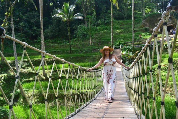 Ubud Full-Day Private Tour: Monkey Forest, Tegalalang & Tegenungan Waterfall