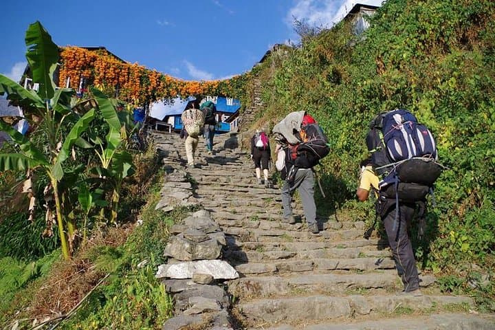 Ghorepani Poon Hill Trek: Sunrise on the Annapurna Rim and Rhododendron Trails photo 3