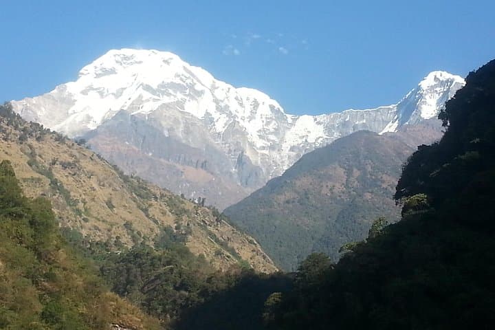Ghorepani Poon Hill Trek: Sunrise on the Annapurna Rim and Rhododendron Trails photo 5