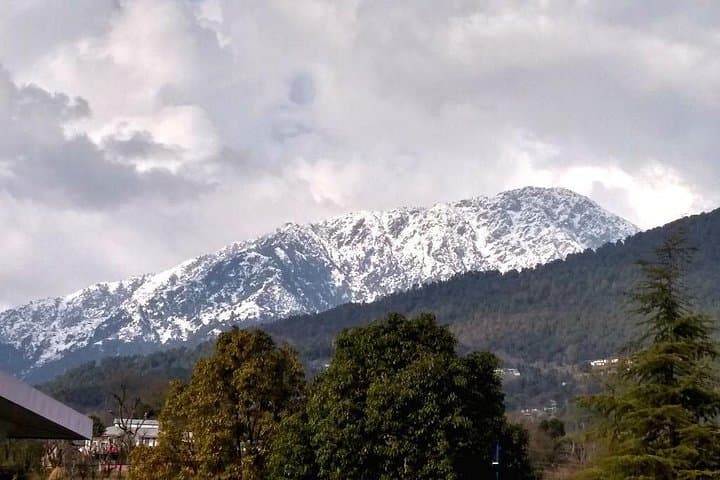 Dharamshala Nature and Village Hike: Dharamkot, Naddi & Bhagsunag photo 4
