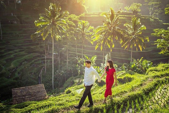 Private Ubud Highlights Tour: Monkey Forest, Tegenungan Waterfall & Tegalalang Rice Terraces photo 5