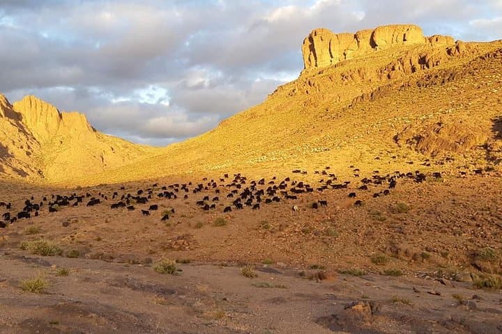 8-Day Jebel Saghro Trek: Berber Camps, Mules & Summit photo 3